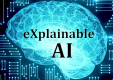 Explainable AI (XAI) Training in Poland
