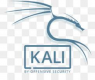 Kali Linux Training in Poland