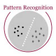 Pattern Recognition Training in Poland