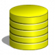 Database Training in Poland