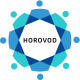 Horovod Training in Poland
