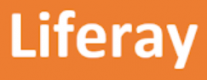 Liferay Training in Poland
