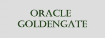Oracle GoldenGate Training in Poland