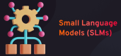 Image for the Small Language Models (SLMs)