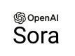 Szkolenia Sora w Polsce