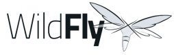 Szkolenia Wildfly w Polsce