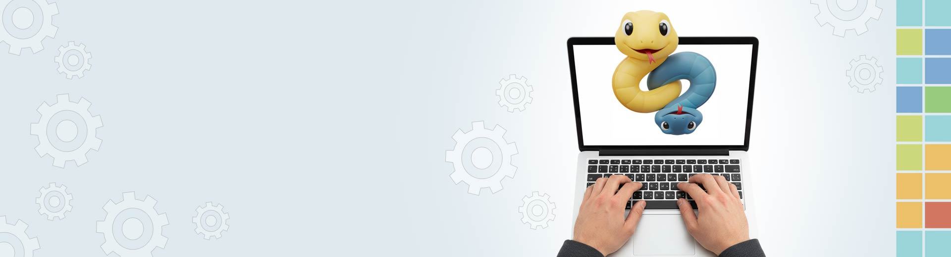 Python Programming – programowanie w Python 3.x (kurs podstawowy)